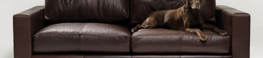 homepage-1